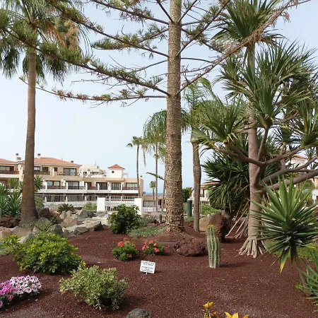 아파트 Estudio En Tenerife Con Piscina / Study Flat With Pool